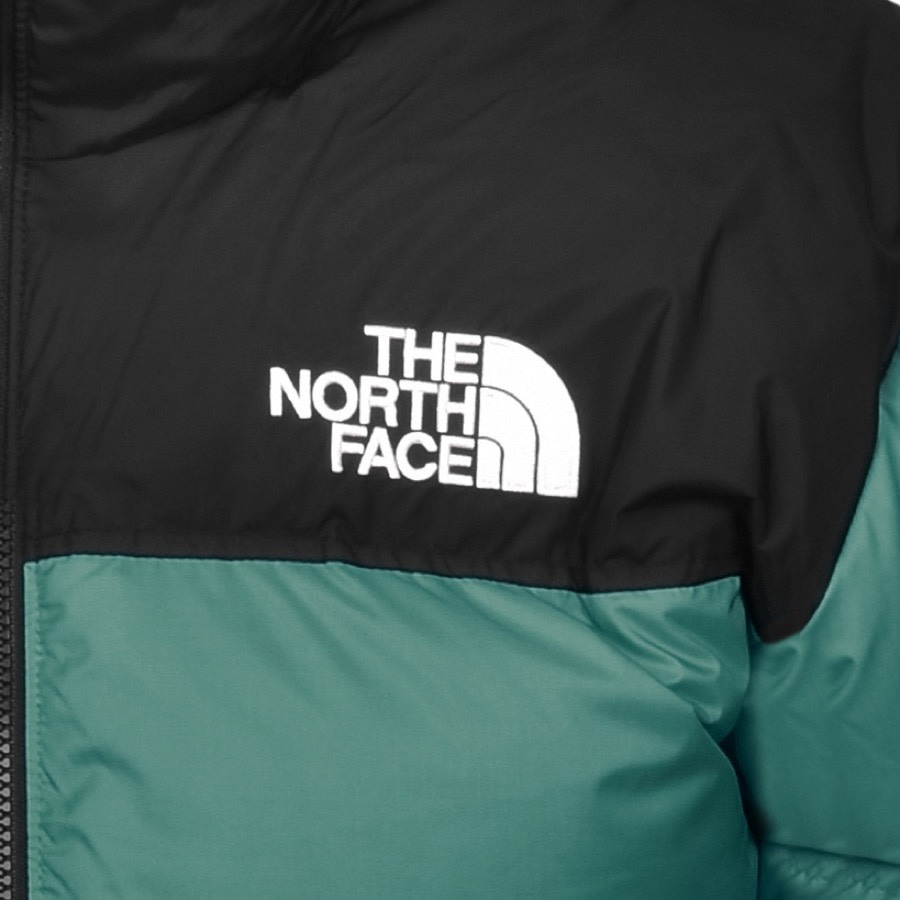 Alternative Image for ProductThe North Face 1996 Nuptse Down Jacket Green3